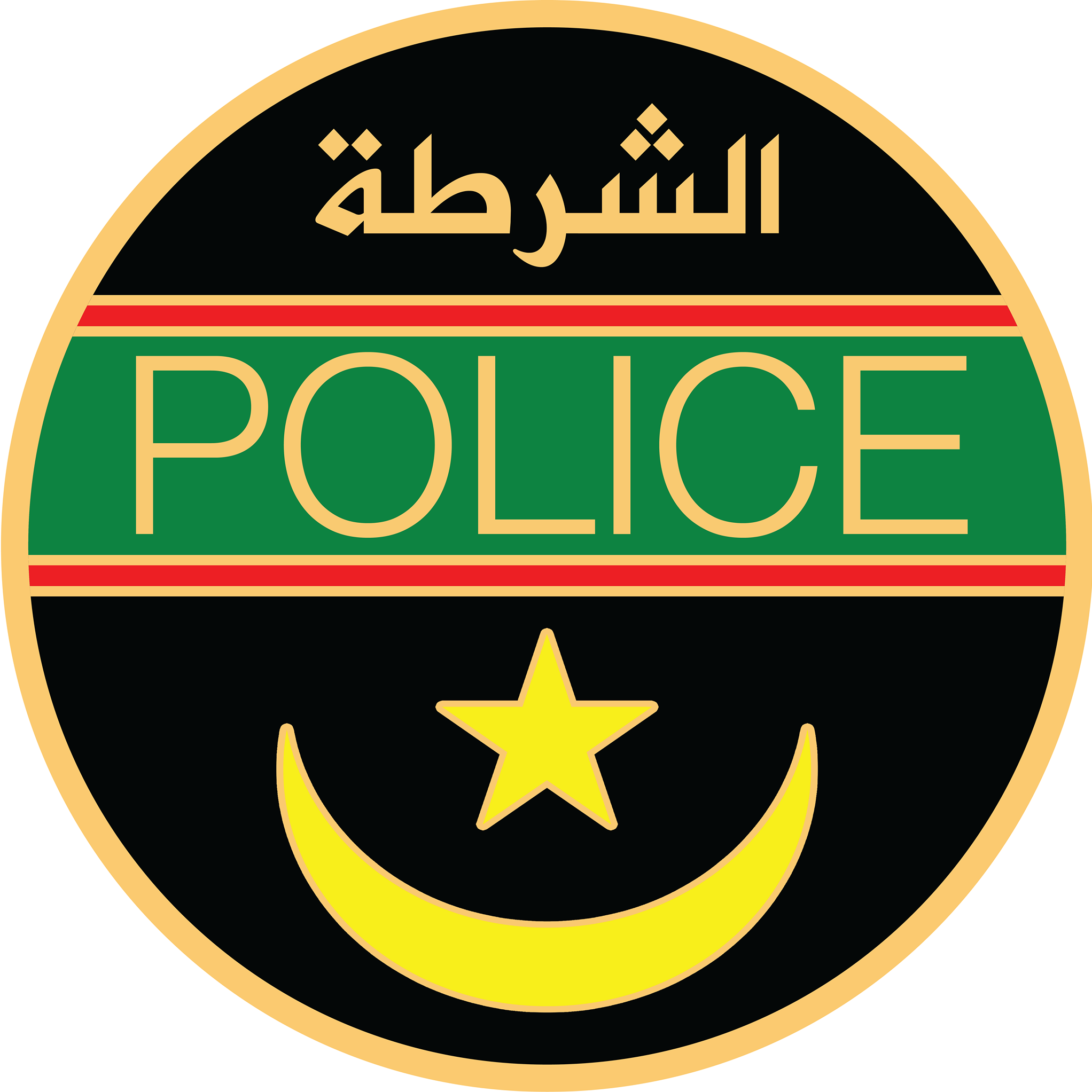 الشرطة تفكك شبكة إجرام تمتهن السلب باستخدام «سيارات أجرة»