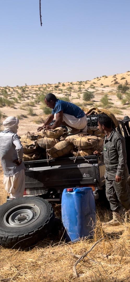 توقيف مهربين للسلاحف البرية بضواحي مدينة ولاتة
