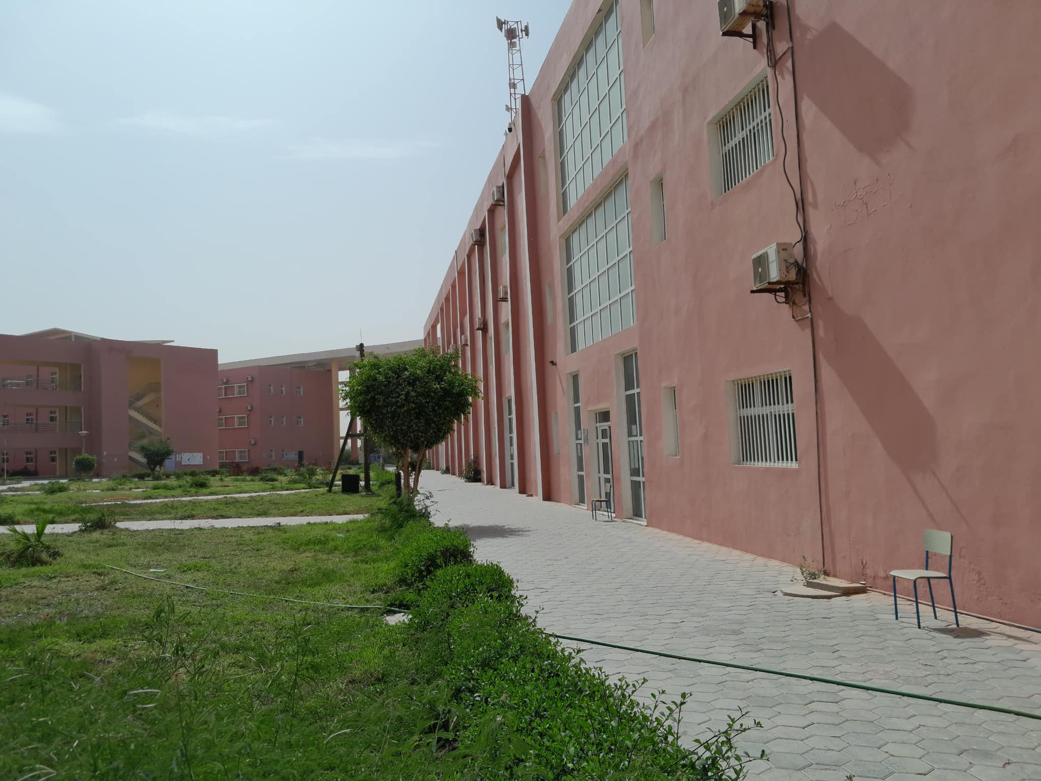 لليوم الثاني.. إضراب يوقف الدراسة بمؤسسات التعليم العالي