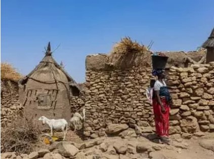 الأمم المتحدة: انعدام الأمن الغذائي وصلت مستويات مقلقة في مالي