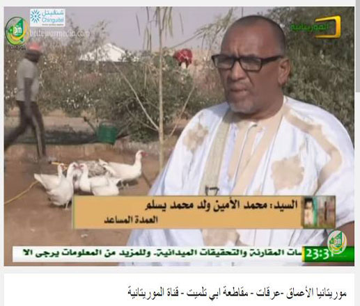 محمد الأمين بن محمد يسلم الشخصية المثالية