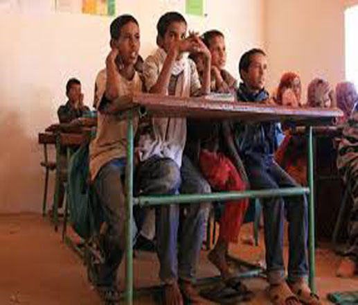 أساتذة ومعلمون في
