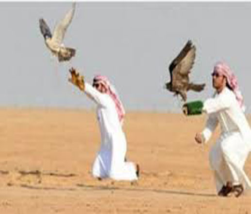 الإفراج عن أمراء قطريين كانوا مختطفين من 2015