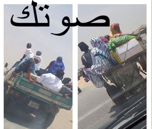 حمير و