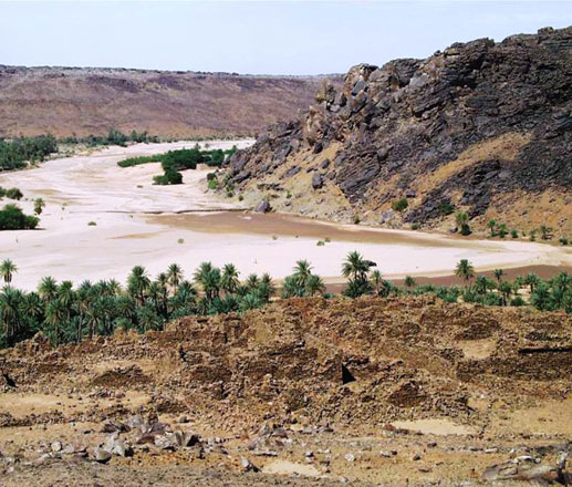 رسالة مفتوحة إلى رئيس الجمهورية
