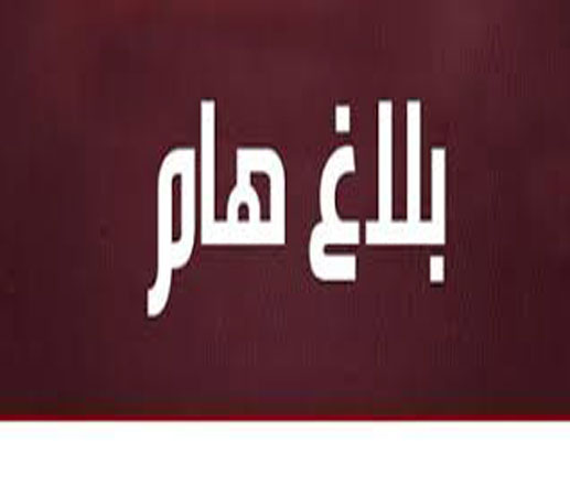 البحث عن ولد الشيخ محمد المامي ( وصفه)