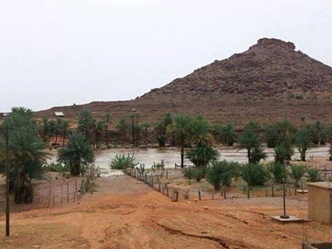 قتيلين و11 جريحا في سقوط باص من مرتفع جوك