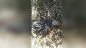 الحوض الشرقي : العثور على جثة رجل متحللة