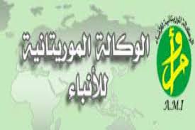جوهر وخطر العنصرية الألكترونية