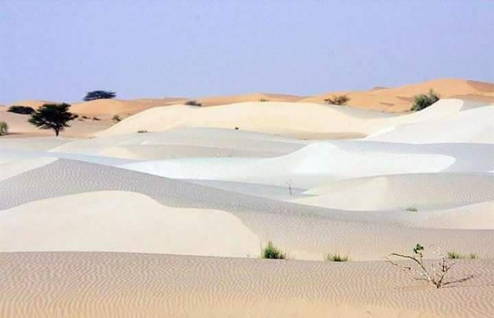 قصة قصيرة جدا