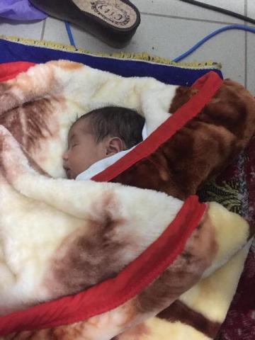 مستشفى الشيخ زايد : دكتورة تحبط عملية قتل رضيعة (هوية + صورة)