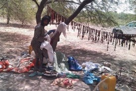 ضبط عصابة في اركيز تبيع لحم الخنازير البرية