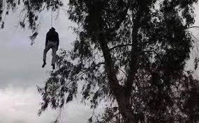 الطينطان: العثور على جثة شاب معلقة على شجرة