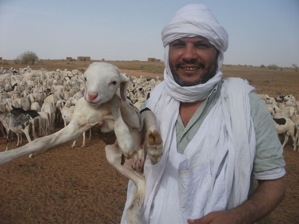 صحفي مصري يكتب: