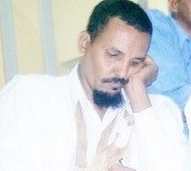 شمامه.. وزارعوها