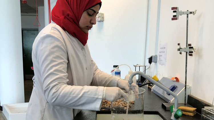 باحثون مصريون يخترعون بلاستيك قابلا للتحلل من قشر الجمبري