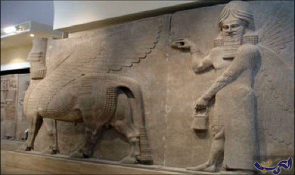 تنظيم