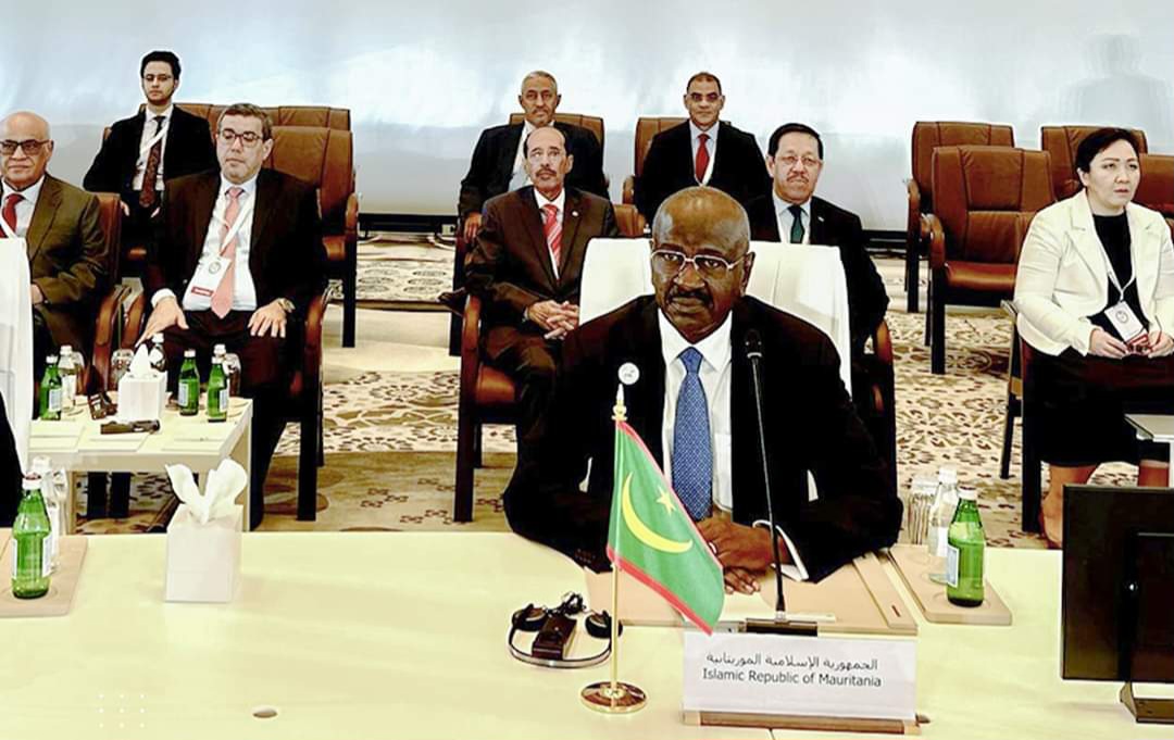 وزير الخارجية يطالب العرب بتوحيد الجهود لوقف العدوان على غزة